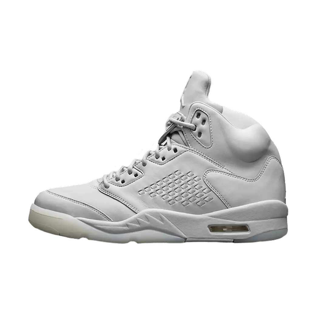 Nike Jordan 5 Premium Pure Platinum