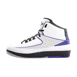 Nike Air Jordan 2 Dark Concord Retro