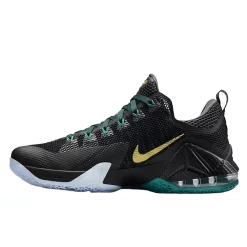 Nike LeBron 12 Low SVSM