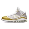 Nike LeBron 7 QS White Gold