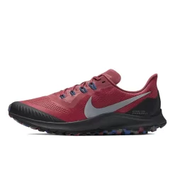 Nike Pegasus Trail Cedar