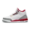 Nike Air Jordan 3 GS Cardinal