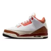 Nike Air Jordan 3 GS Mars Stone