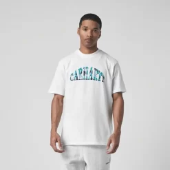 Carhartt WIP Dome Script T-Shirt - White