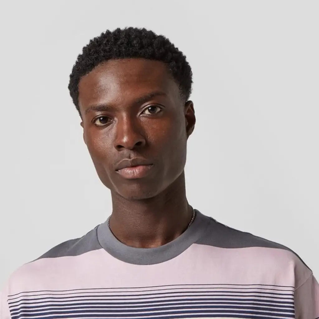 Carhartt WIP Hanmore Stripe T-Shirt - Pink - Image 4