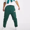 Nike Jordan Sport DNA Joggers - Green