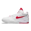 Nike Air Flight Lite Mid Scottie Pippen